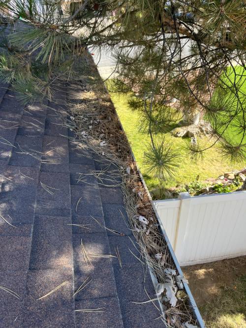 Clogged Gutters Clogged Gutters