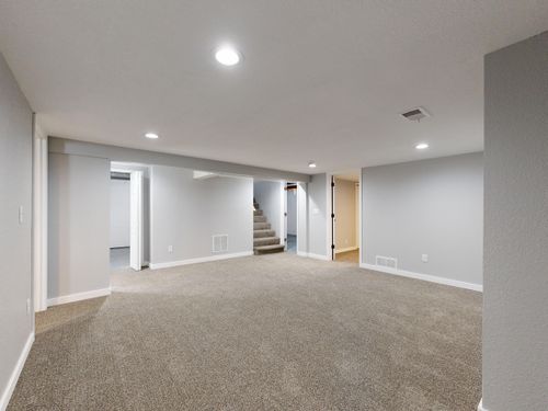 Basement Remodel